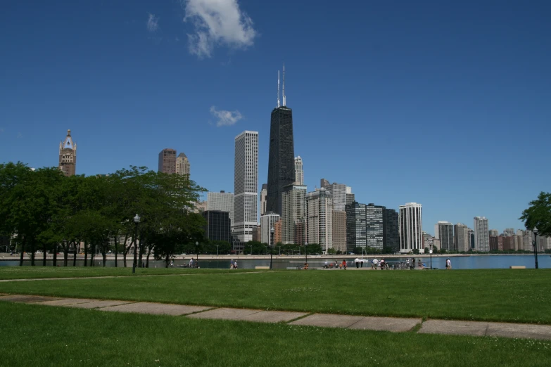 an image of the skyline from a park