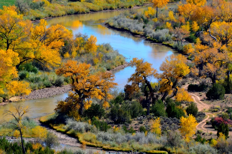 river with autumn trees in the foreground and on other side