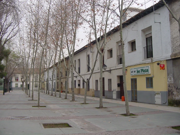 several trees in front of a row of white buildings