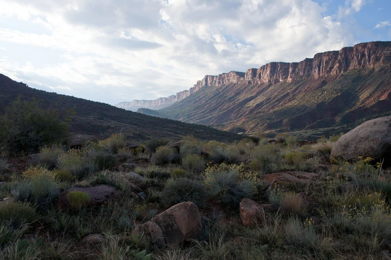 a rocky valley with a mountain behind it