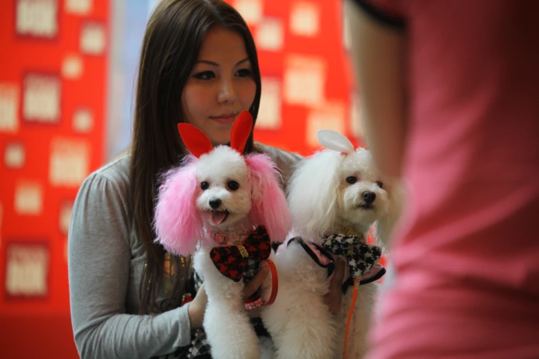 a woman is holding two dogs, one of which is wearing bunny ears