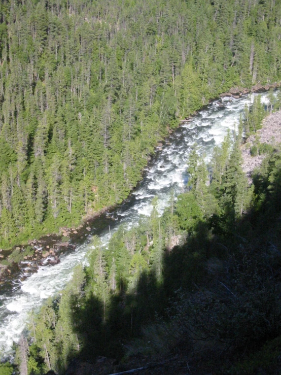 the sun casts on a river running through the forest