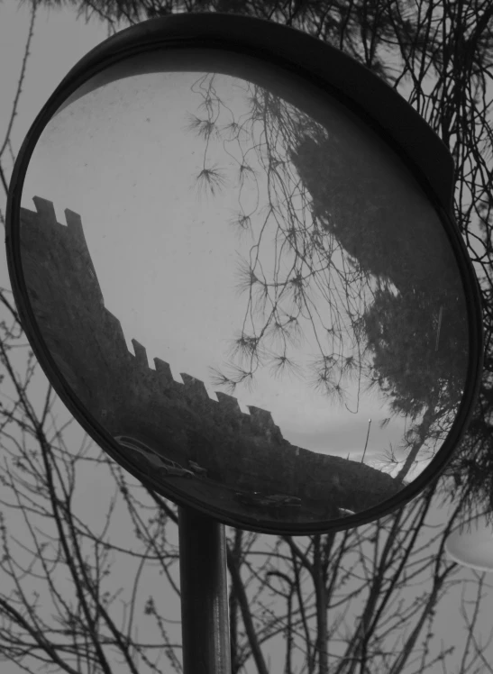 a round mirror that is reflecting trees and houses