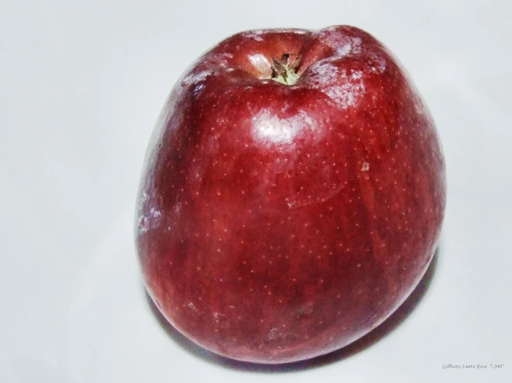 an apple with some green leaves on it