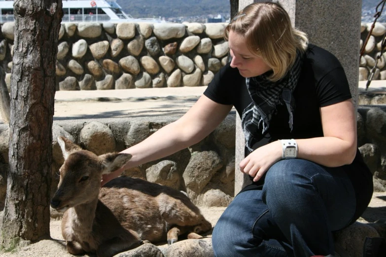 a woman petting the head of a brown goat on its nose