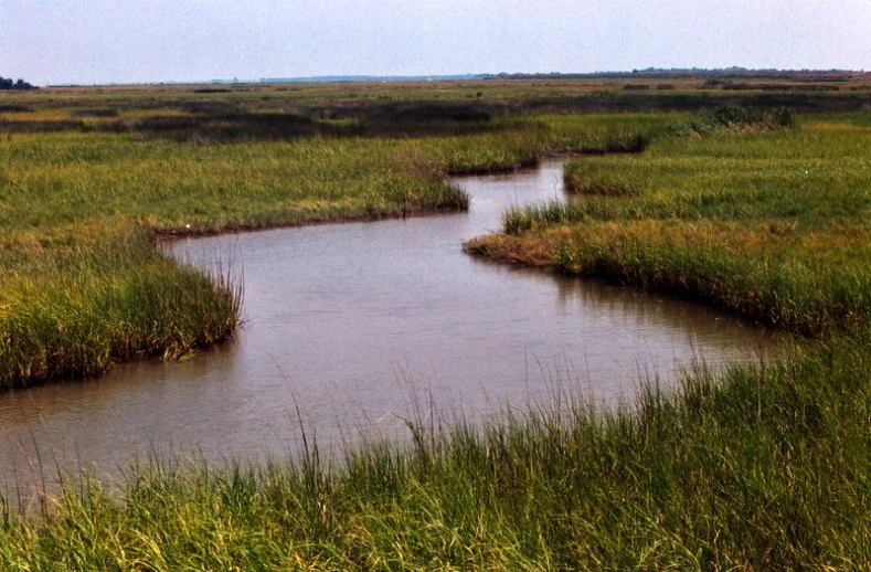 the river runs right through an open green field