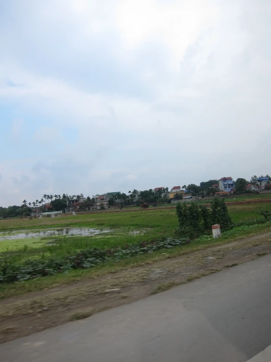 a rural street with lots of green land on it