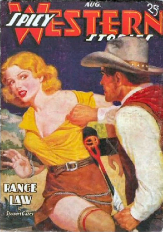 a cover art for a western novel