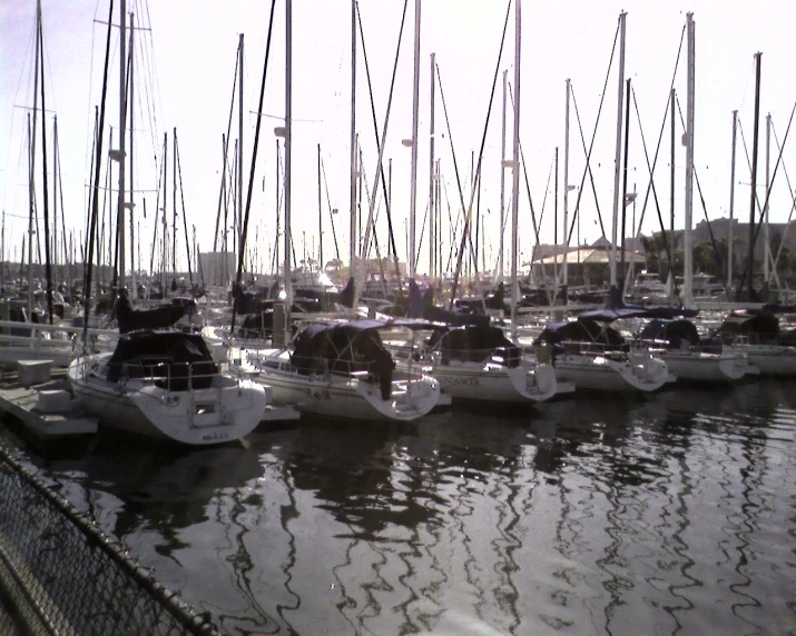 there are many small sailboats lined up at the marina