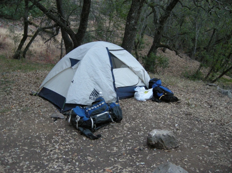 a tent sits on a trail in the woods