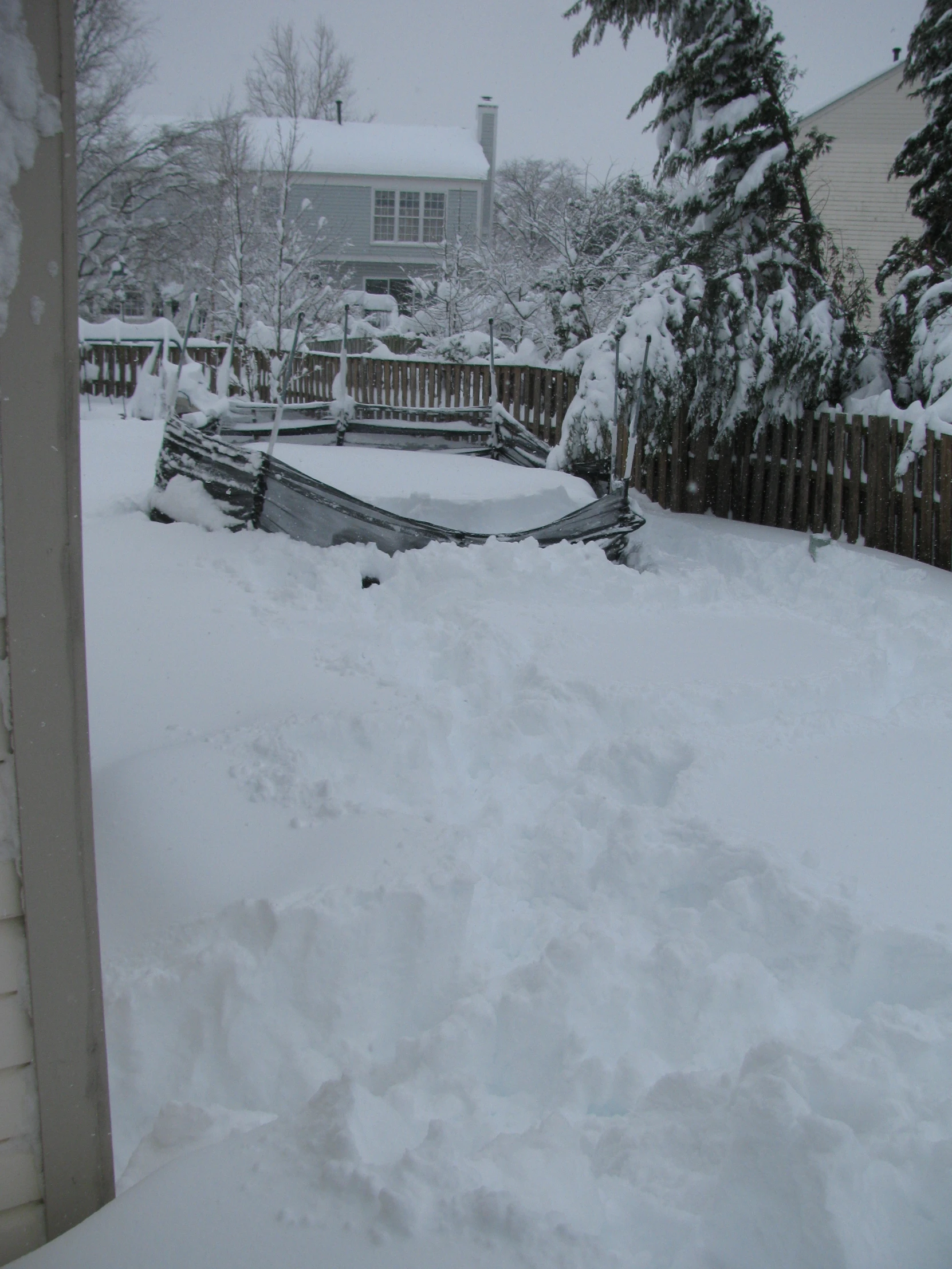 snow blankets the ground next to trees and houses