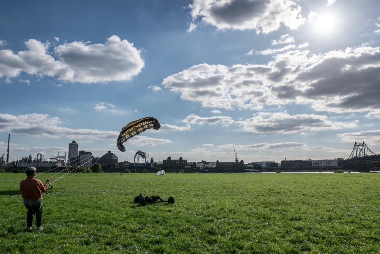 a person in a field with a kite and a dog