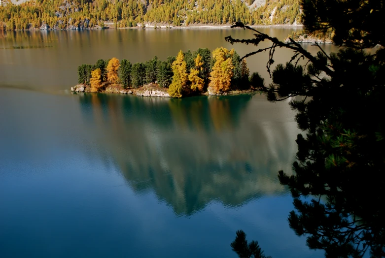 a body of water that is near a forest