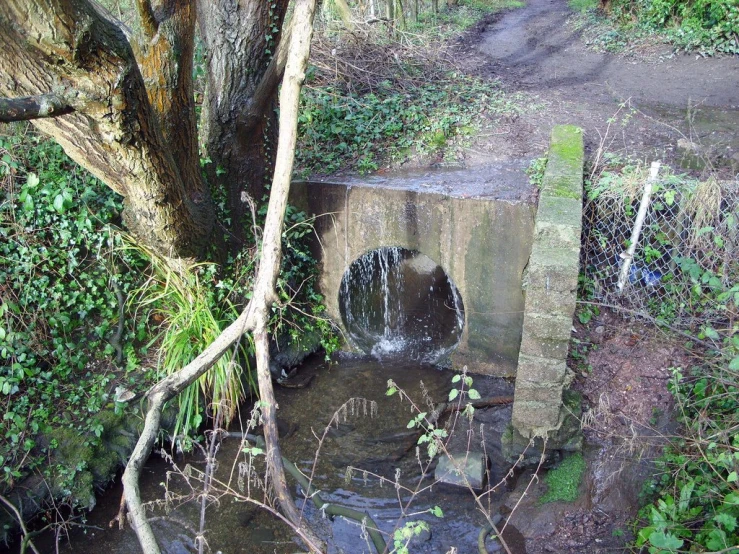 a dirty road and stream near some trees