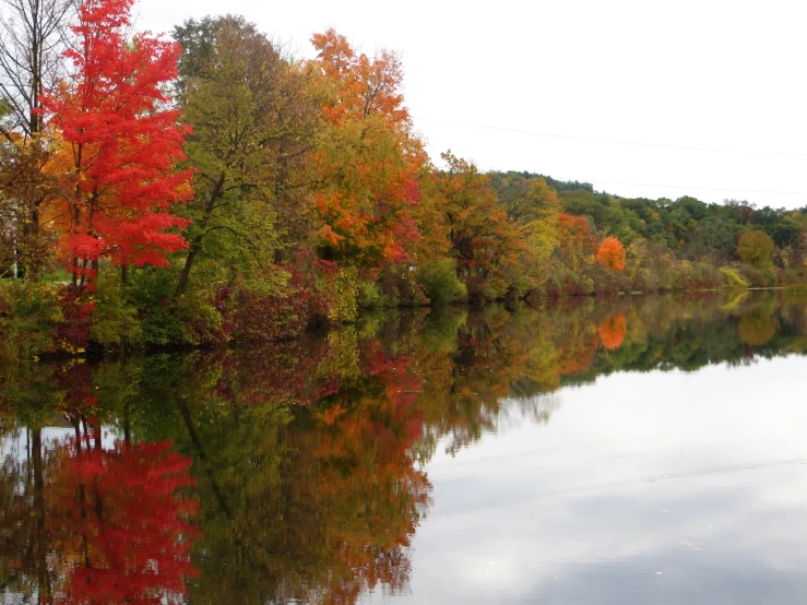 colorful fall trees and leaves reflected in a still lake