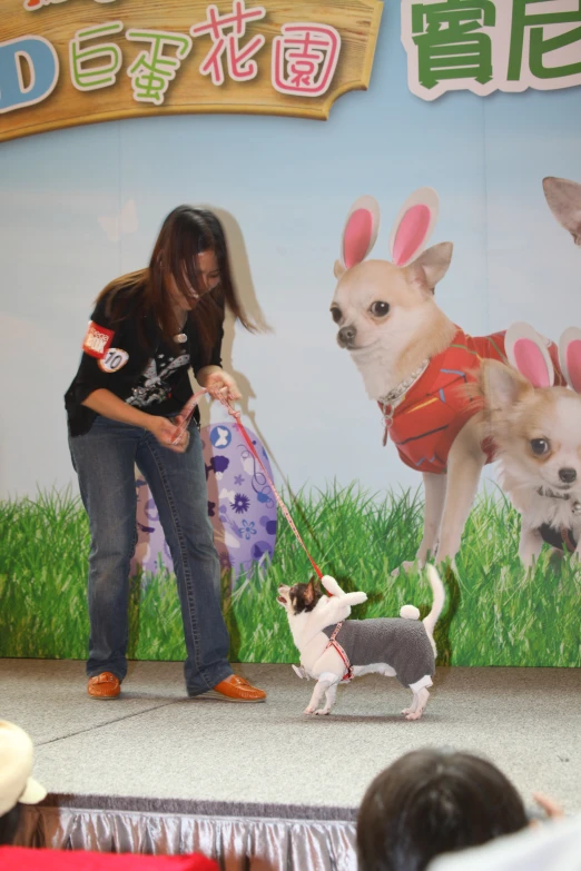 two small dogs on a leash and one being held by a woman