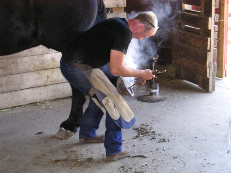 a man holding soing with one hand near a cow