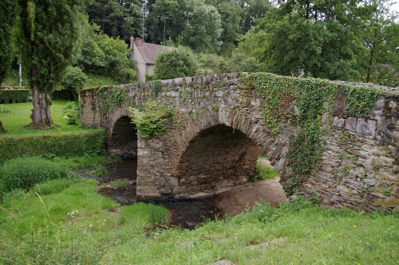 a stone bridge with plants growing all over the sides