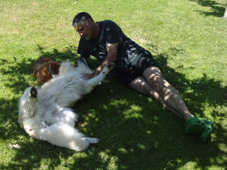 a person sitting on the grass playing with two dogs