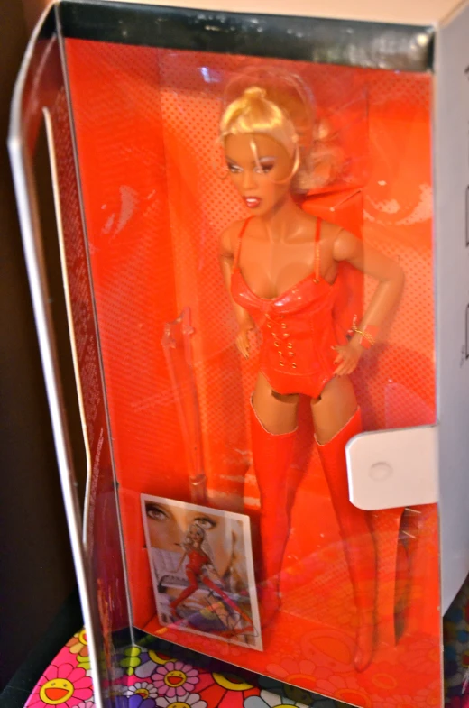 a blonde haired female doll standing inside of a box