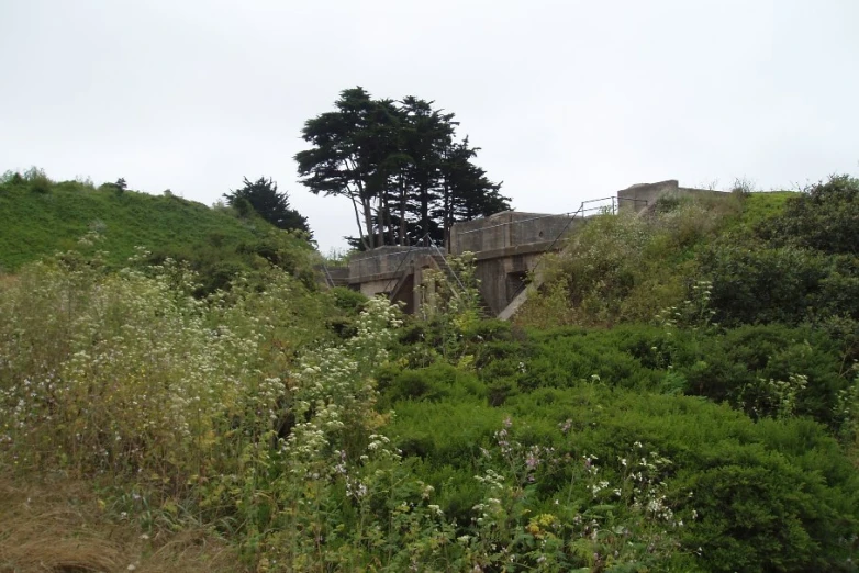 an abandoned house nestled on a hill covered with vegetation