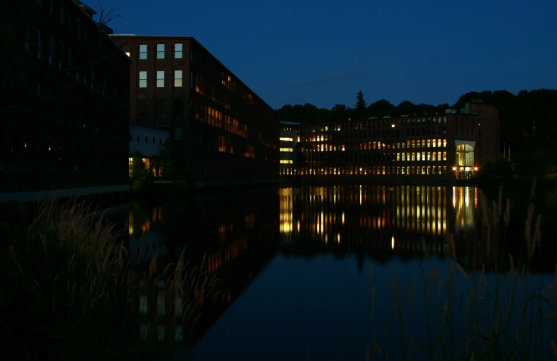 night time with building reflected in water and plants