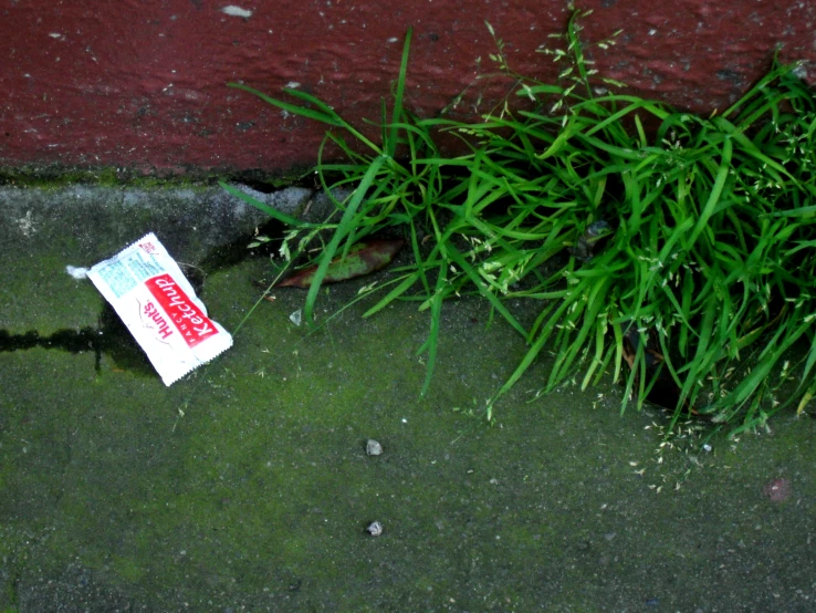 a pack of cigarettes lies on the ground next to a patch of grass