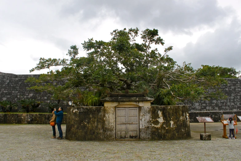 three people near a stone shack under a tree