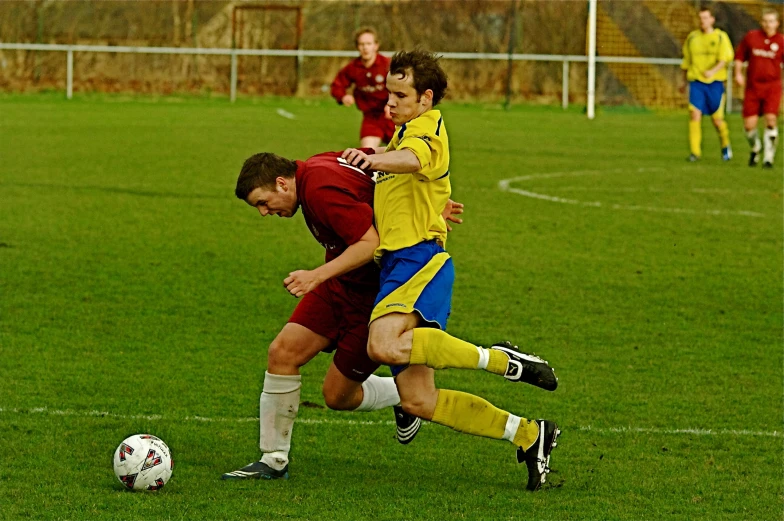 a couple of people on a field playing soccer