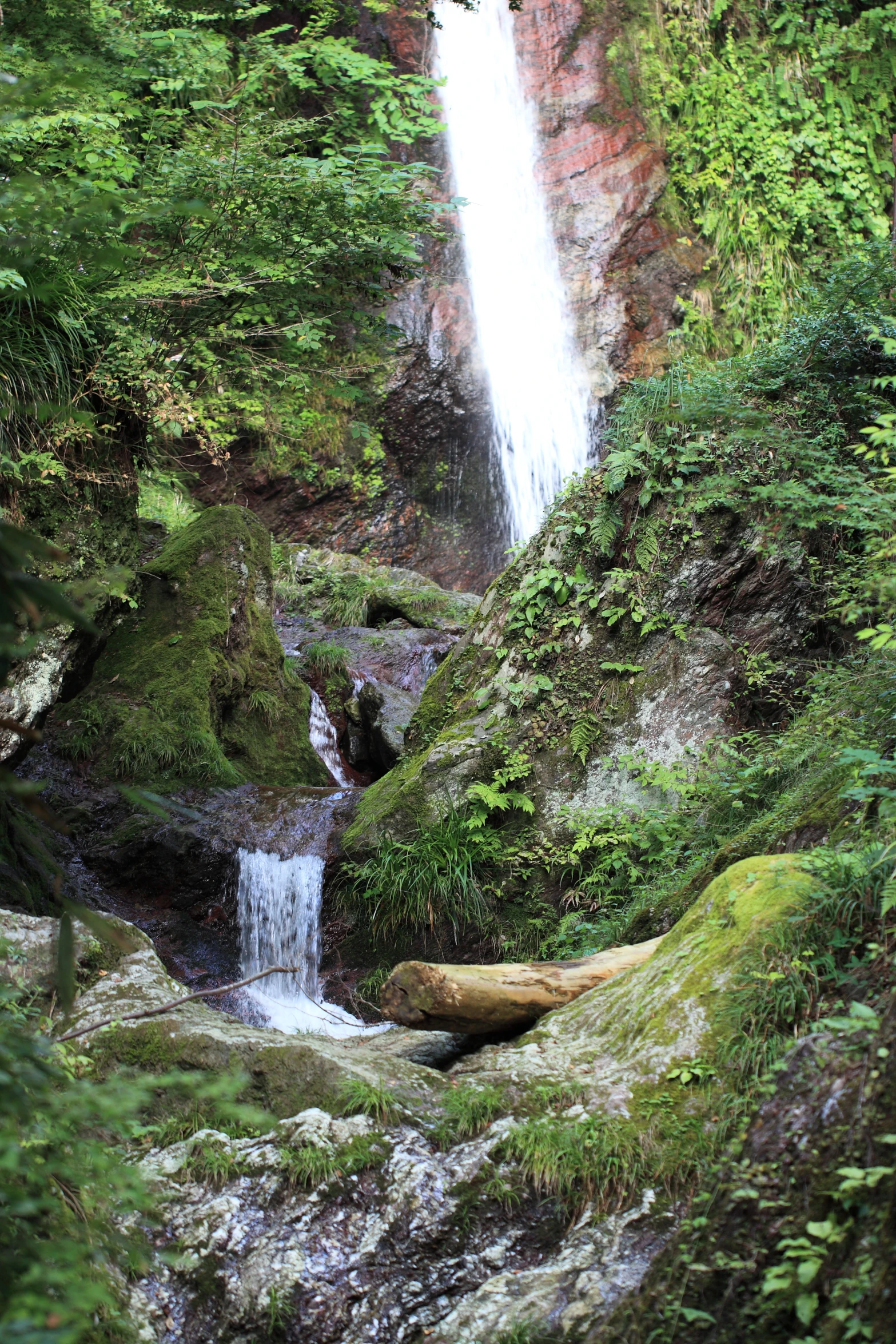 waterfall cascading from trees in a forested area