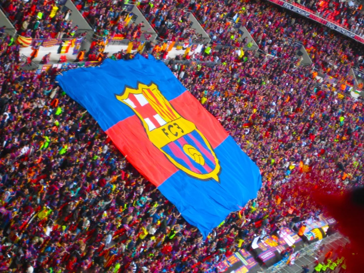 a large flag is being carried by a man in a crowd