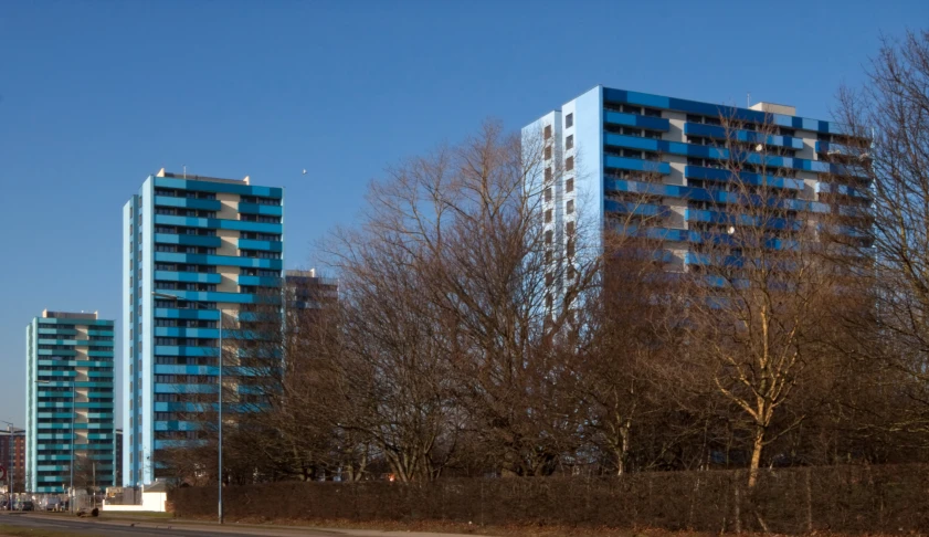 some buildings are lined up behind some trees