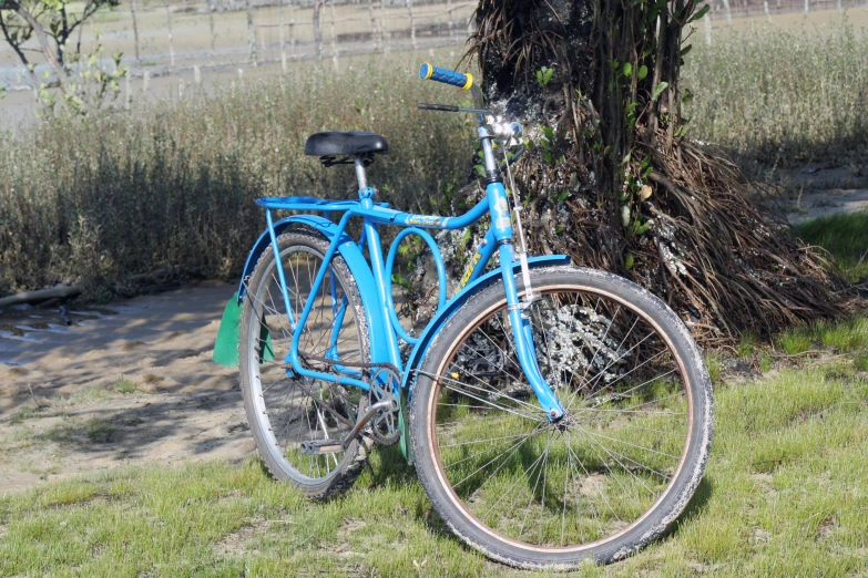 a blue bicycle sitting next to a tree