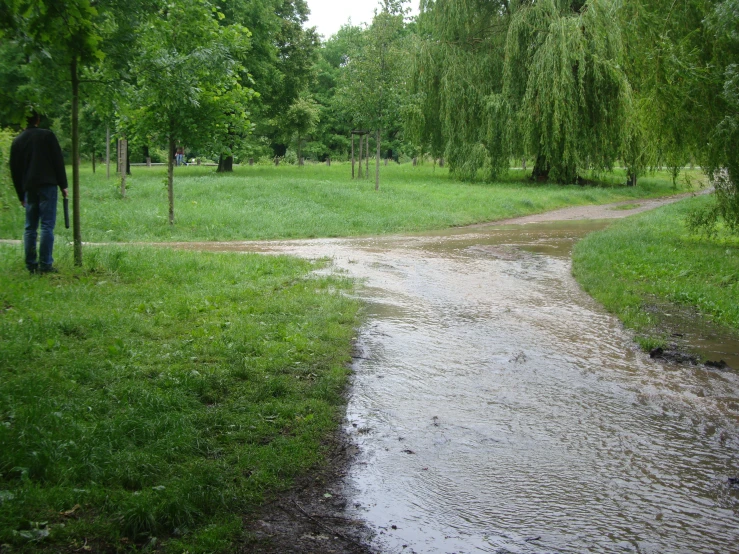 a person holding an umbrella standing near the side of a road