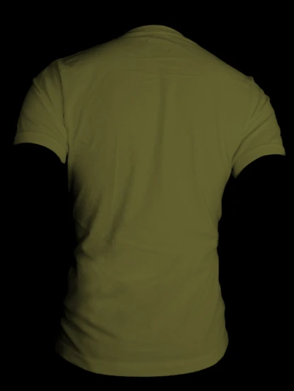 a green shirt on a woman with short sleeves