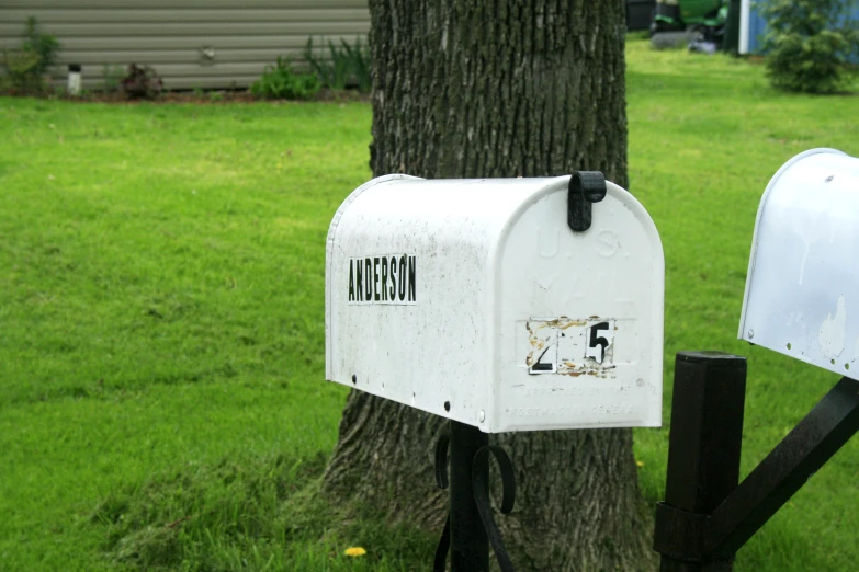 a mail box that is outside next to a tree