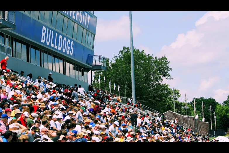 a bunch of people at the baseball game