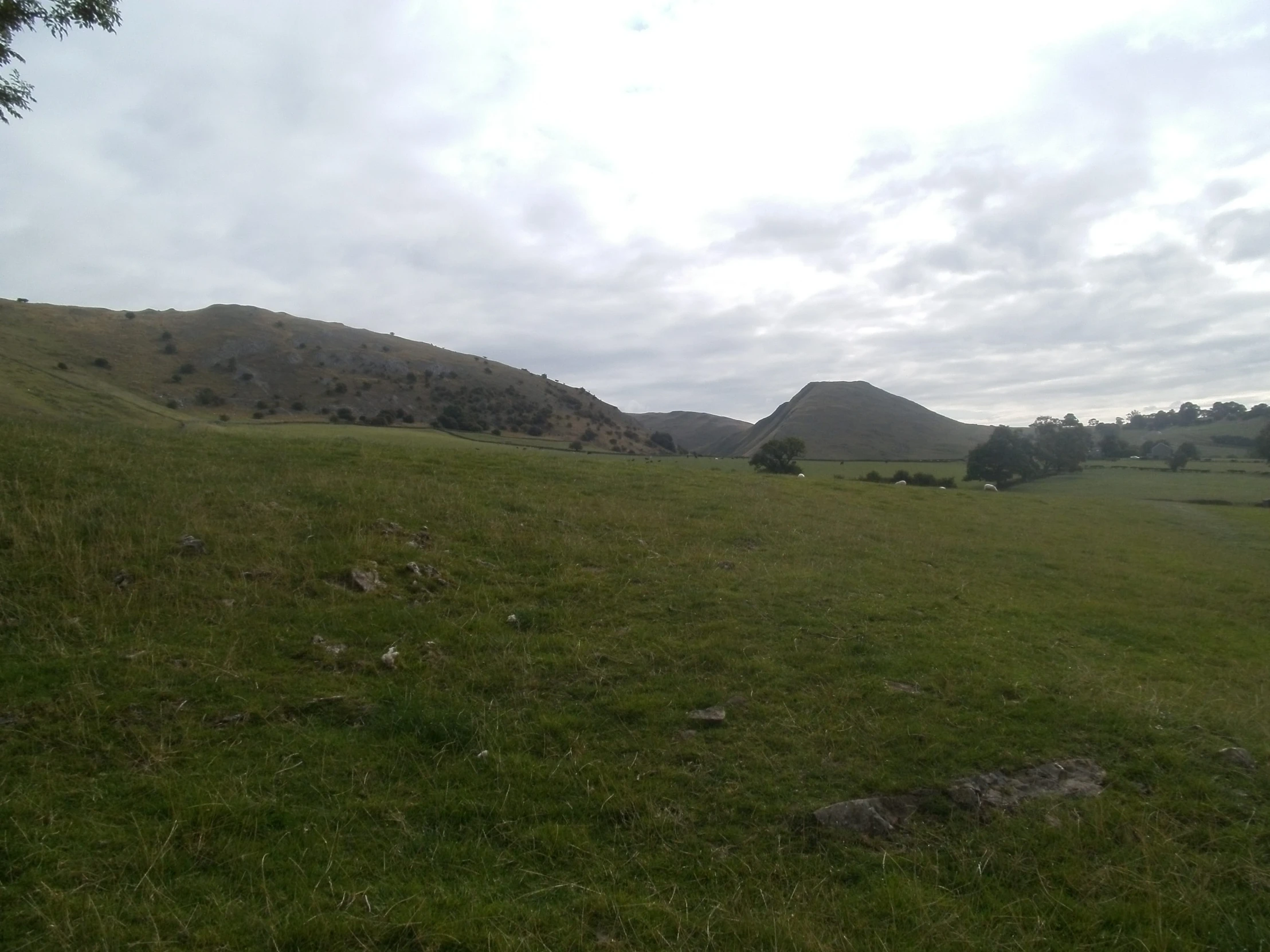 large green field with a hill in the distance