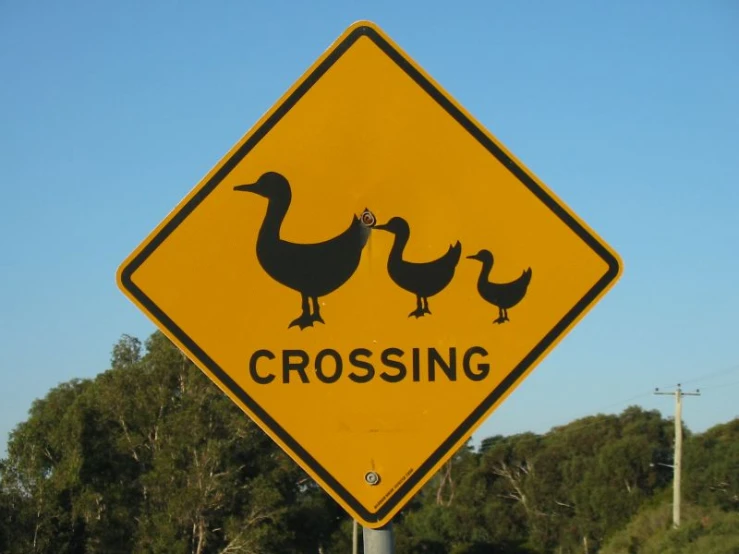 three birds crossing sign that reads crossing