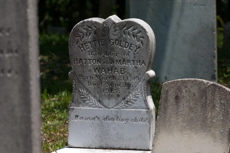 a grave with a heart shape sits in the grass