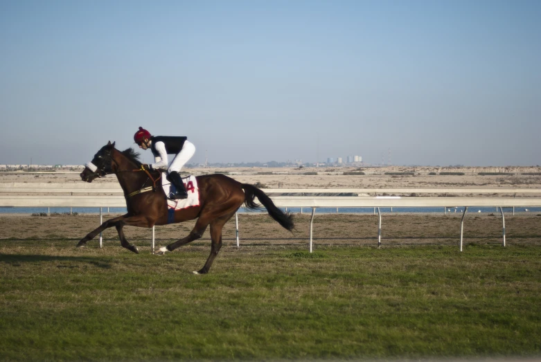 the jockey on his horse was riding through a fenced in area