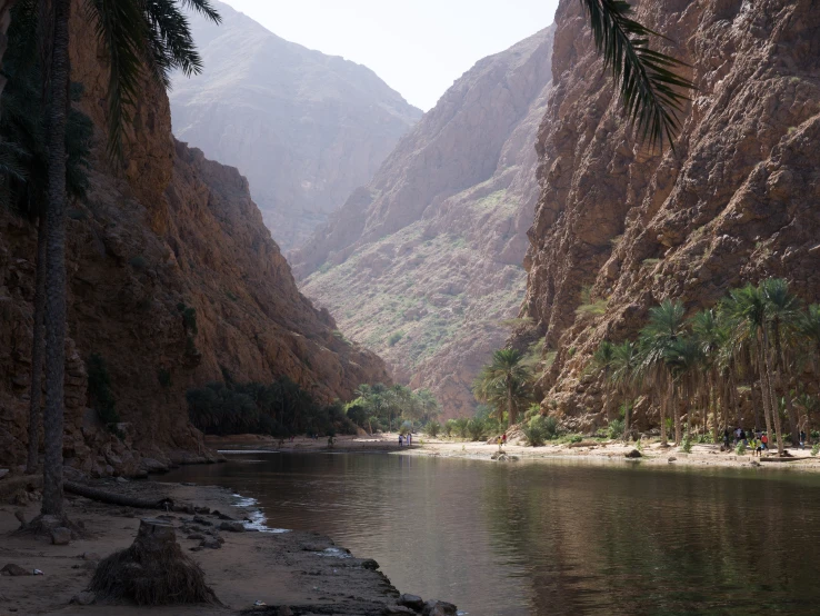 palm trees are hanging over the river flowing through mountains