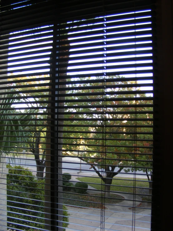 window with blinds on it and trees outside the window