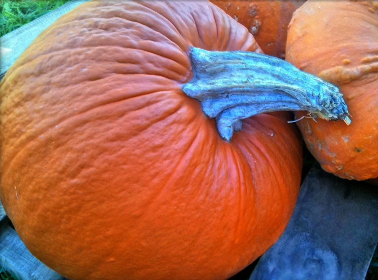 some pumpkins, one with a flower on the outside