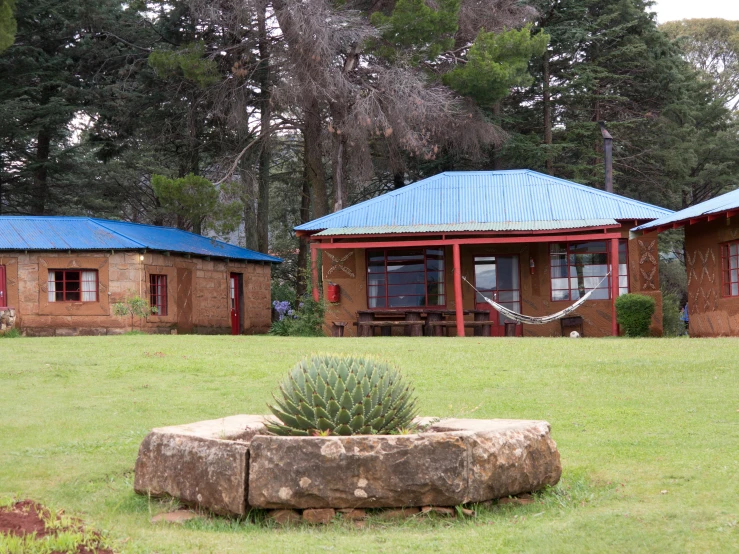 the grass is green and the house has blue roof