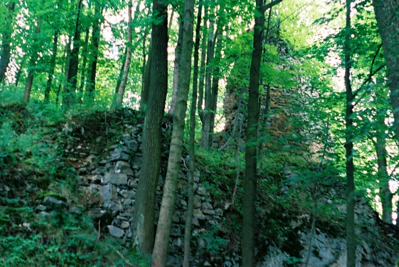 some rocks and trees on the side of the hill