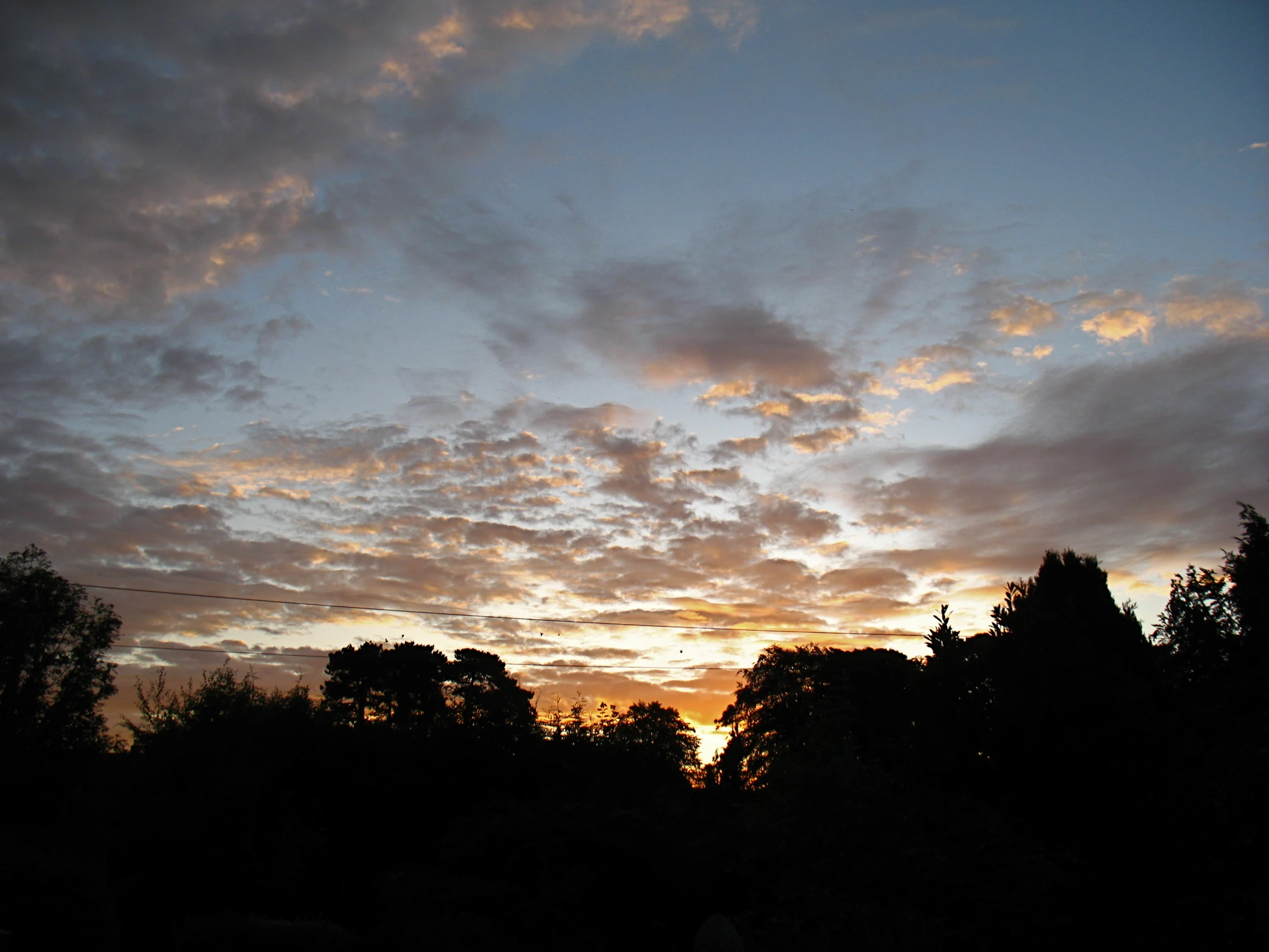 the sun is setting behind some trees and sky