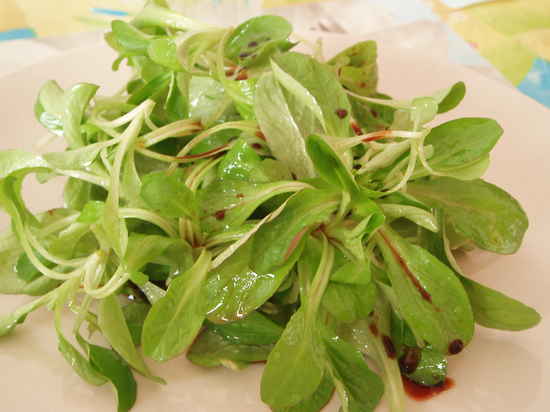 some green plants are laying on a white plate