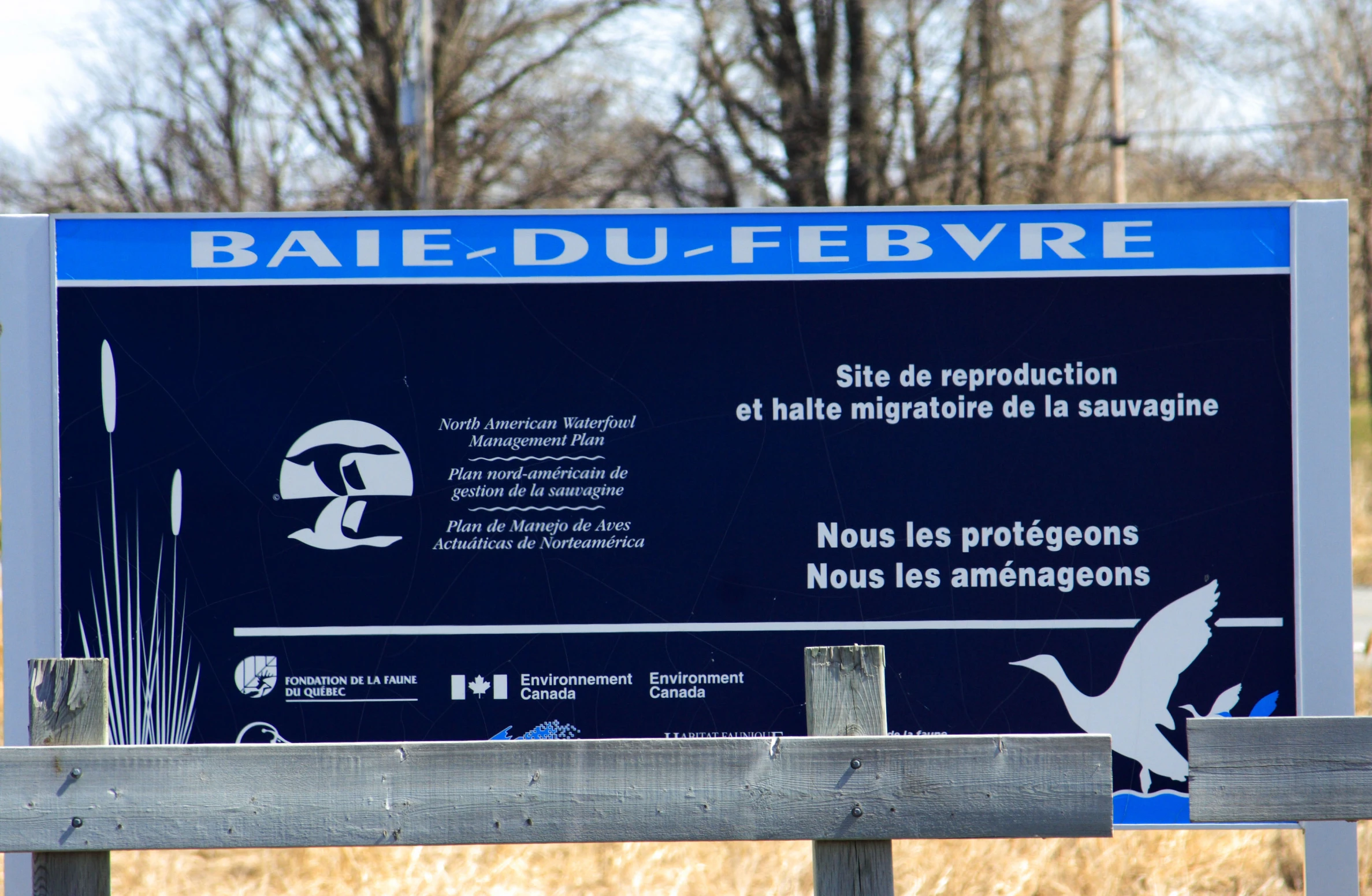 a sign is in front of some tall grass