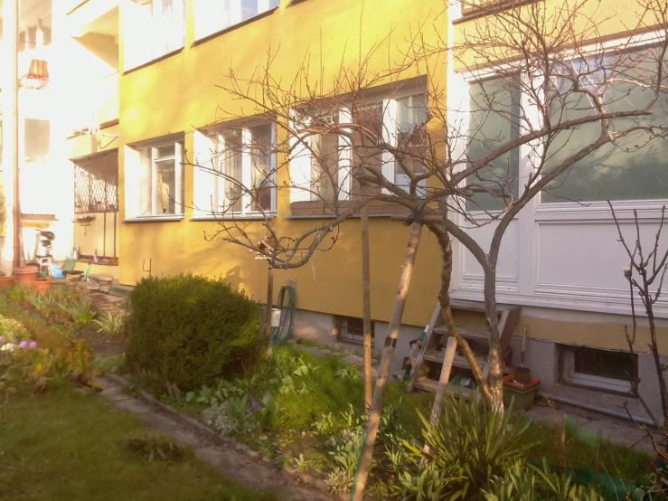 a yellow building and many plants near by